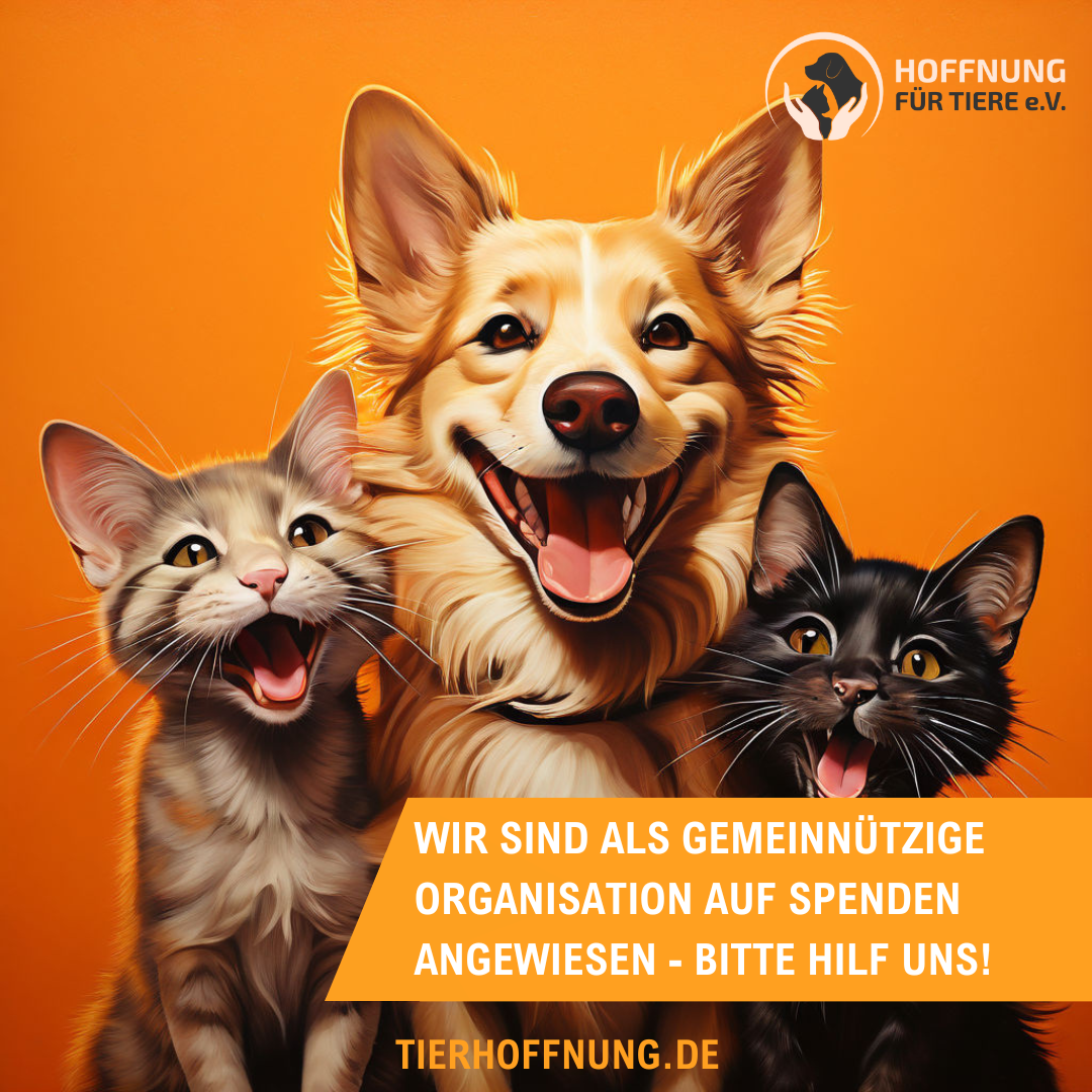 Spenden für Hoffnung für Tiere