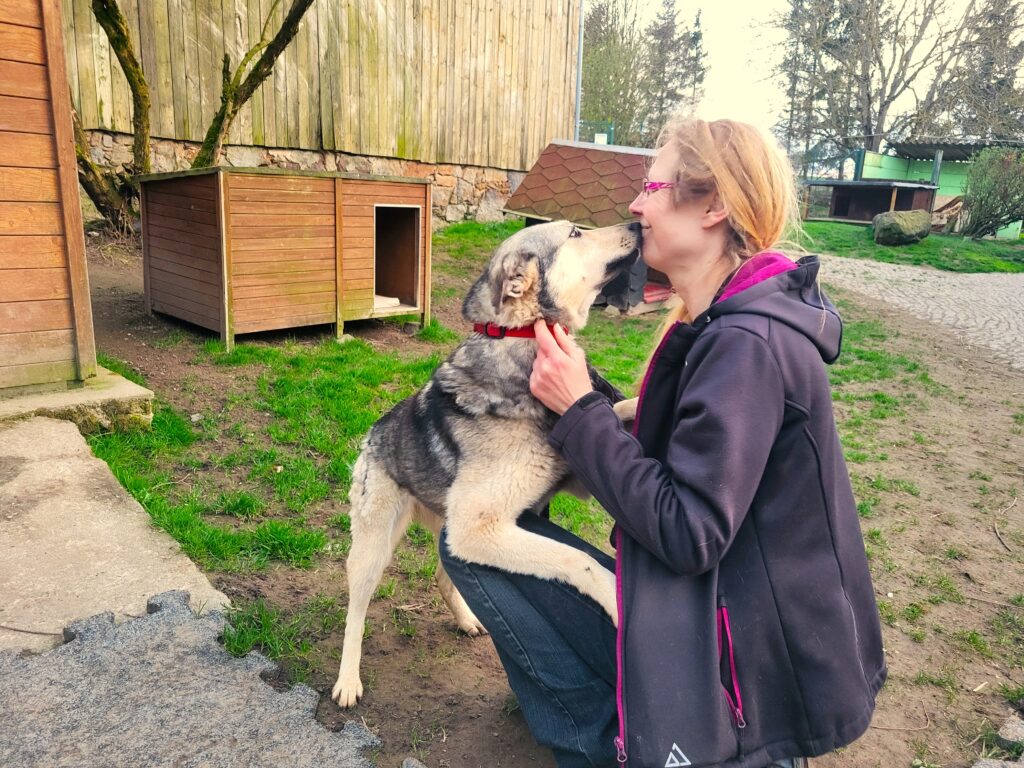 Hund Carla Zuhause gesucht Tierheim Hoffnung für Tiere