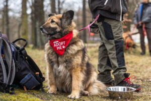 Gerda Barkdate