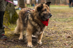 Gerda Barkdate