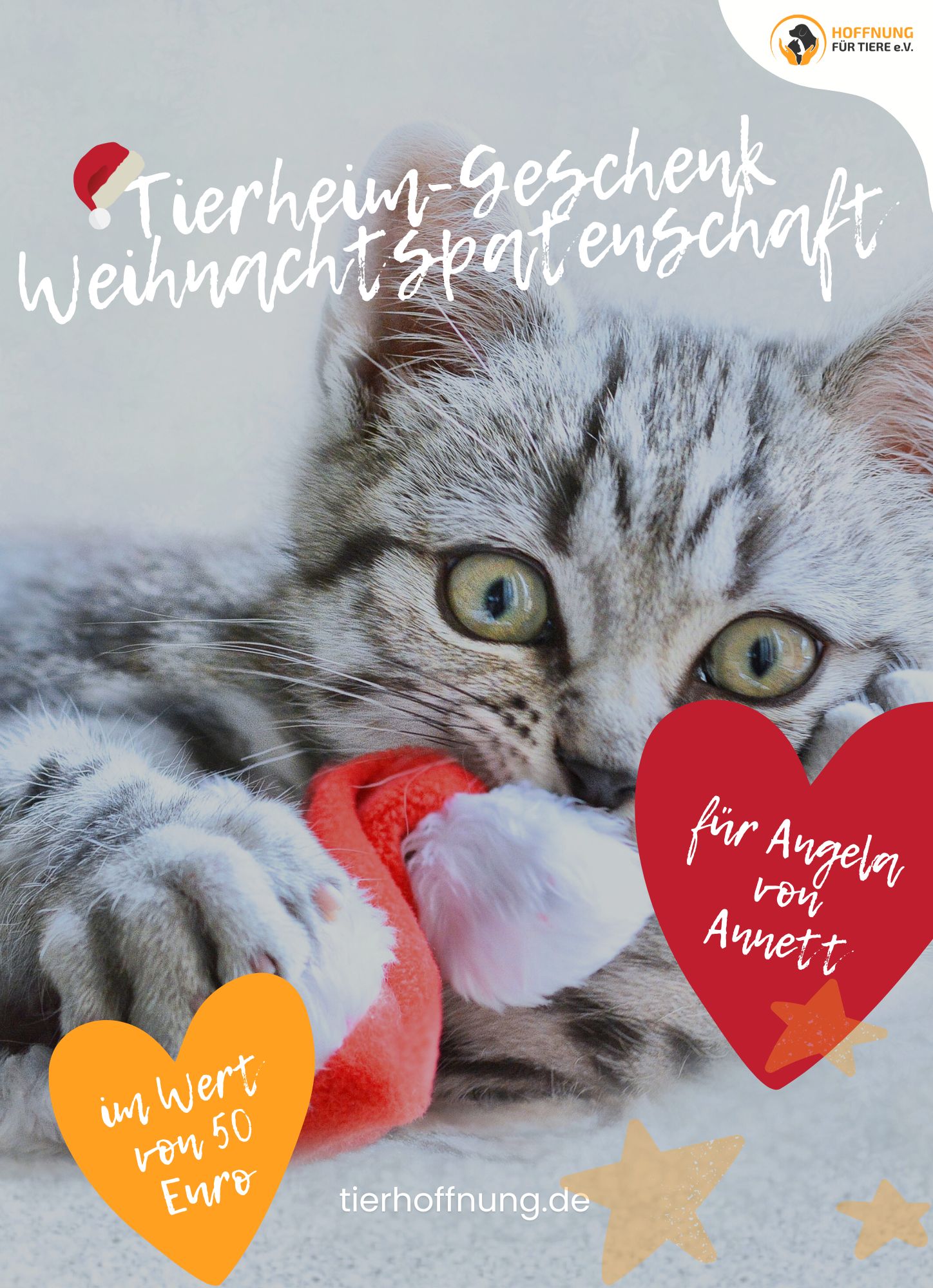 Weihnachtspatenschaft Katze