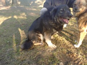 20250308_160851300 Peggy