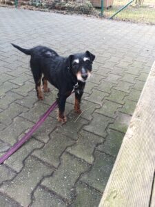 Neska