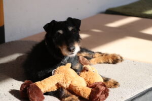 Neska