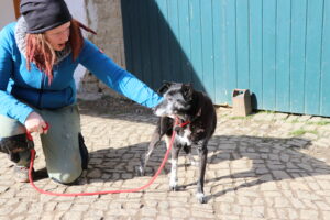 Frieda