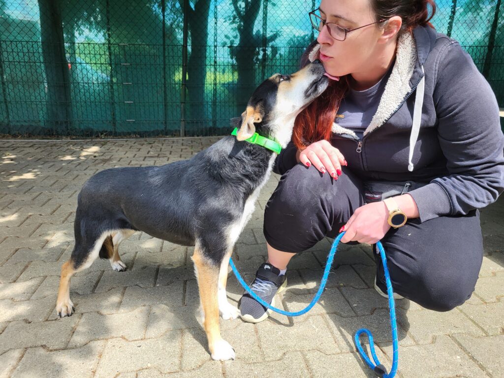 Hund Leni gibt Küsschen Hund Leni Zuhause gesucht Tierheim Hoffnung für Tiere