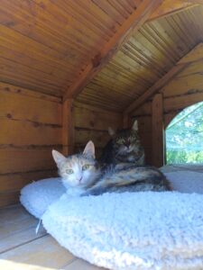 Anita und Joline
