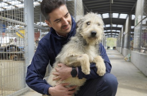 Narcisa Aufnahmepatenschaft Hund Smeura Rumänien