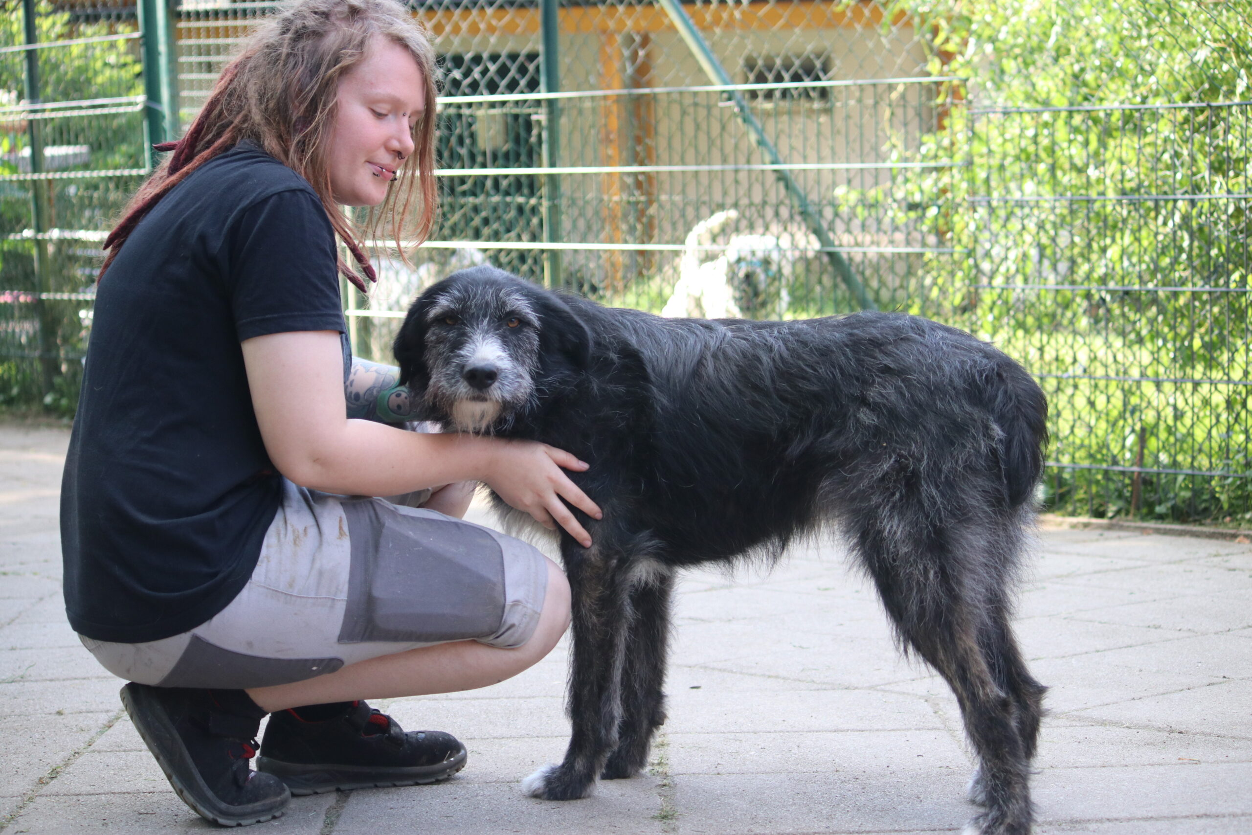 Hund Xandra Zuhause gesucht Tierheim Hoffnung für Tiere