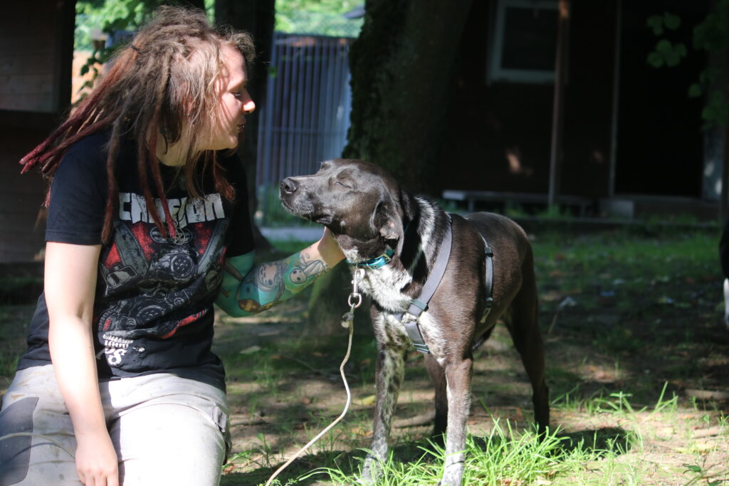 Hund Finna Zuhause gesucht Tierheim Hoffnung für Tiere