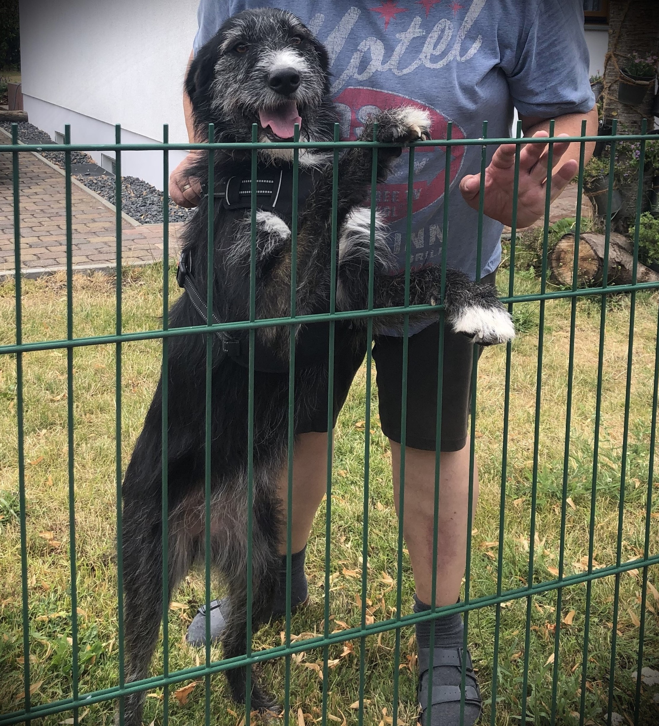 Xandra, Zuhause gefunden