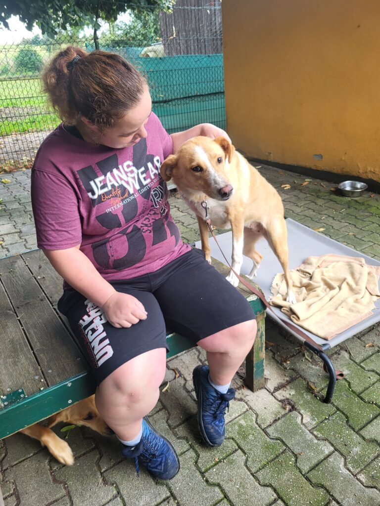 Hund Uliana Zuhause gesucht Tierheim Hoffnung für Tiere