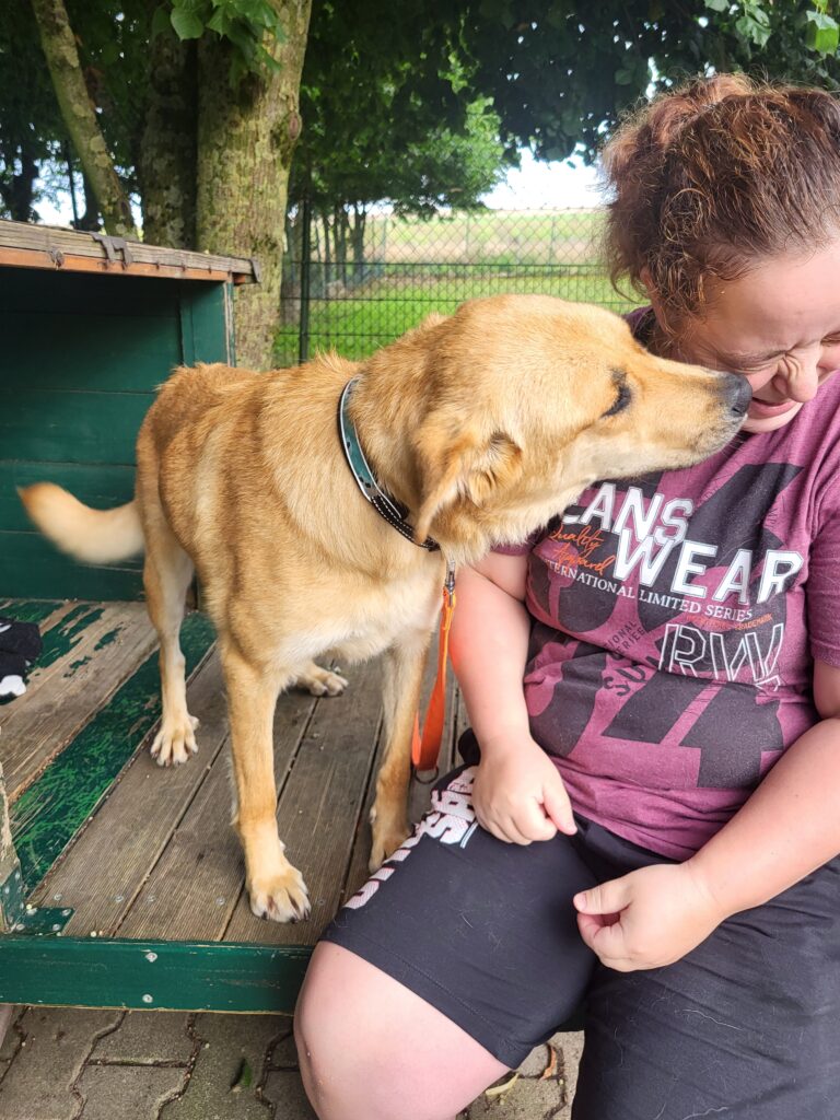 Hund Chloe Zuhause gesucht Tierheim Tierhoffnung