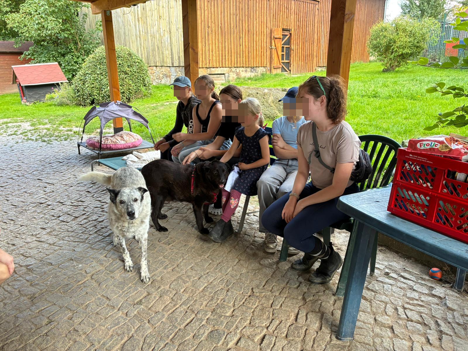 Reitverein Gut Heinrichshof Jugend Besuch Tierheim