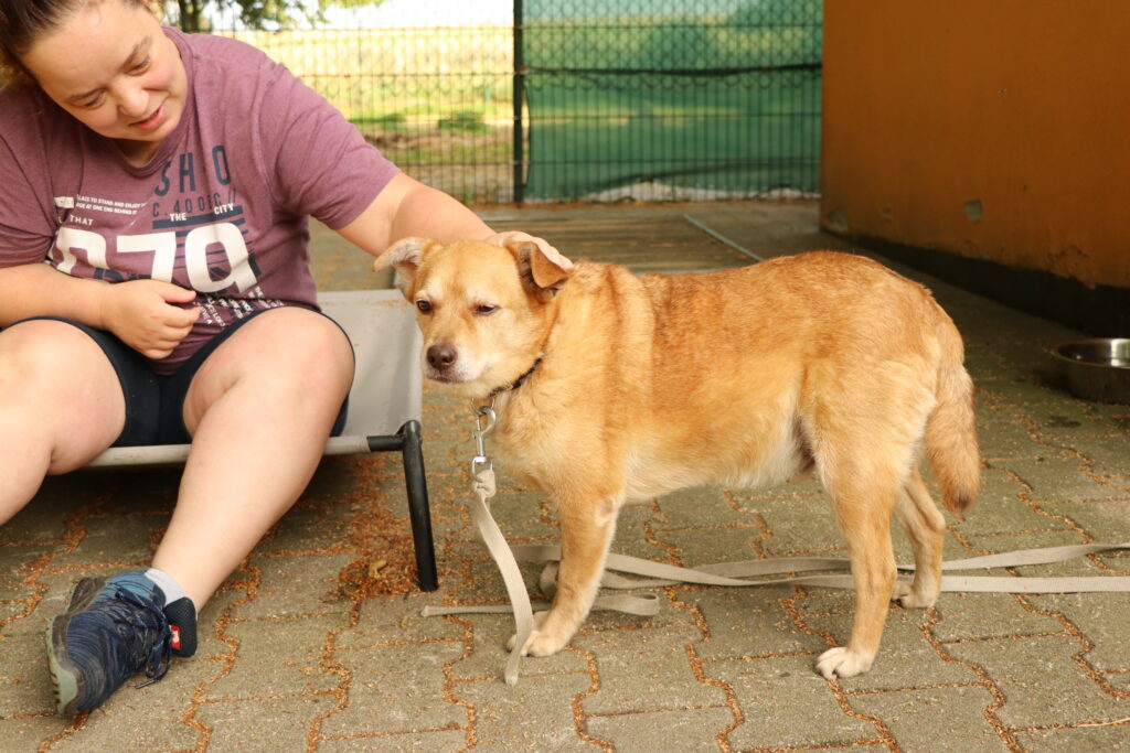 Hund Rudi Zuhause gesucht Tierheim Hoffnung für Tiere