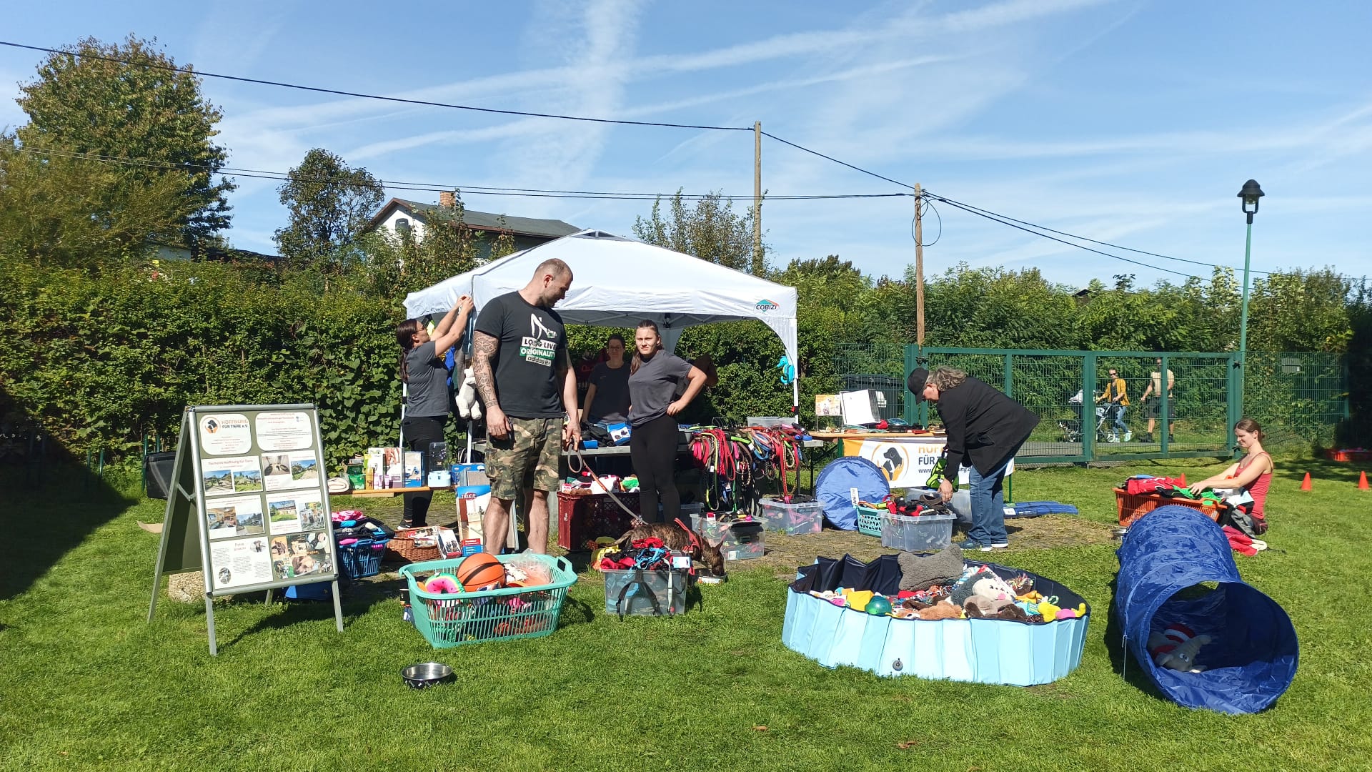 waldbad polenz, hundefestival, flohmarkt