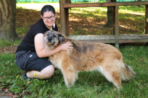 Hund Babuszka Zuhause gesucht Tierhoffnung