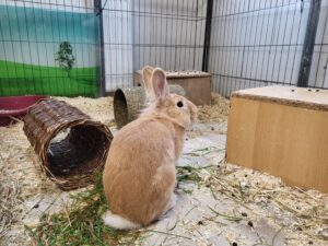 20251011_150533 Flash