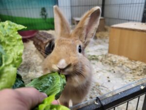 20251011_150549 Toffi