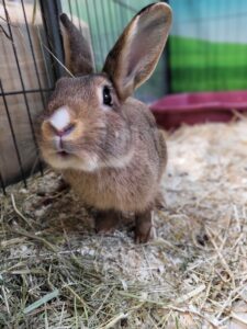 20251011_150713 Flash