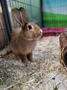 20251011_150731 Flash