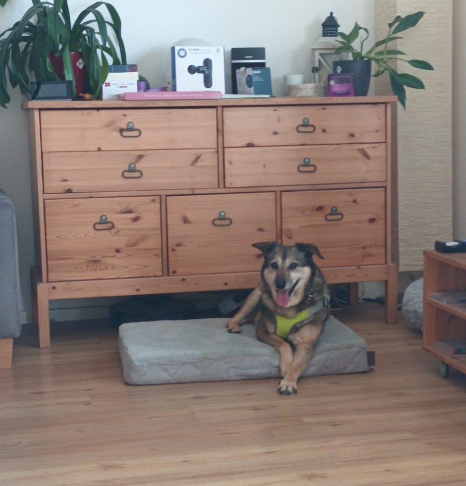 Gizi im neuen Zuhause