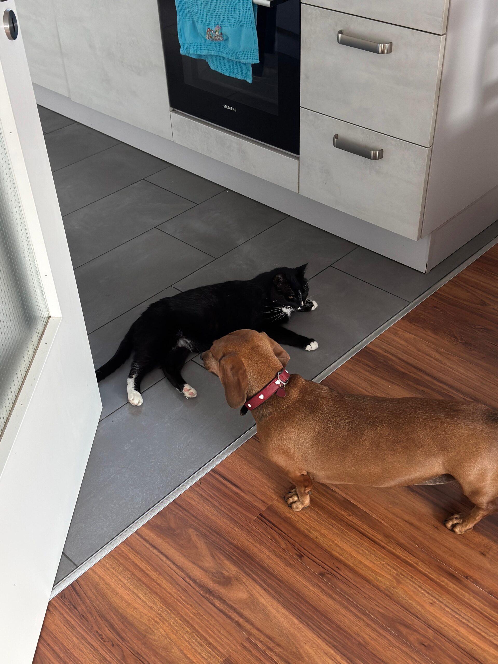 Jens im neuen Zuhause