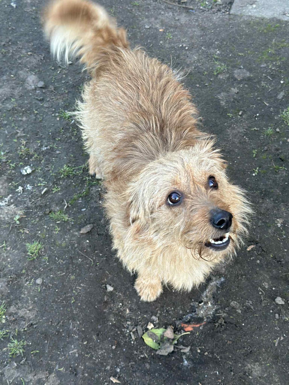 WhatsApp Image 2025-10-30 at 10.20.16