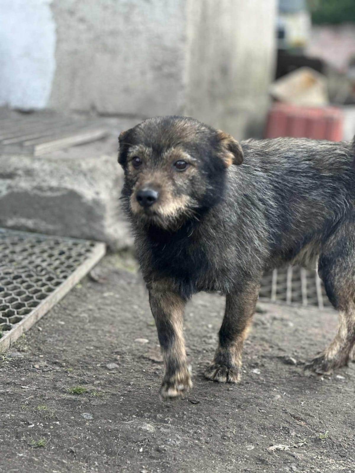 WhatsApp Image 2025-10-30 at 10.21.01