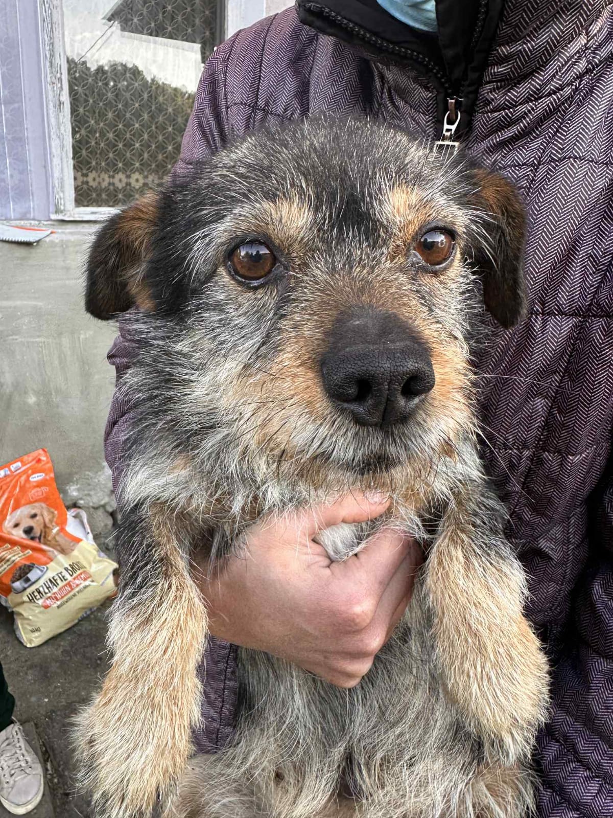 WhatsApp Image 2025-10-30 at 10.23.57