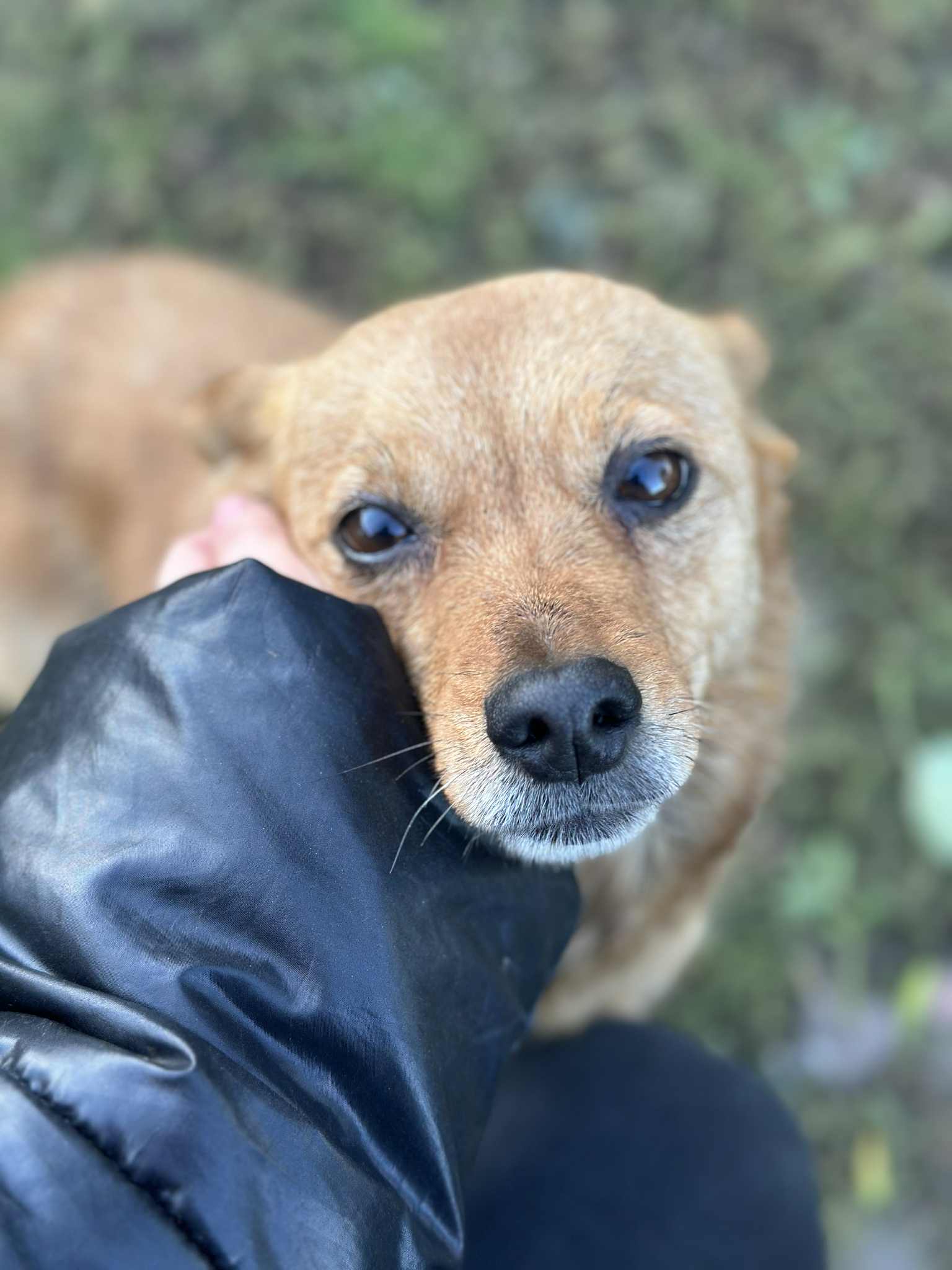 WhatsApp Image 2025-10-30 at 10.37.22