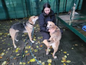 Toni und Kami Hund Toni Zuhause gesucht Tierhein Hoffnung für Tiere