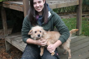 Hund Kuddl Zuhause gesucht Tierheim Hoffnung für Tiere