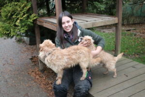 Hund Kuddl Zuhause gesucht Tierheim Hoffnung für Tiere