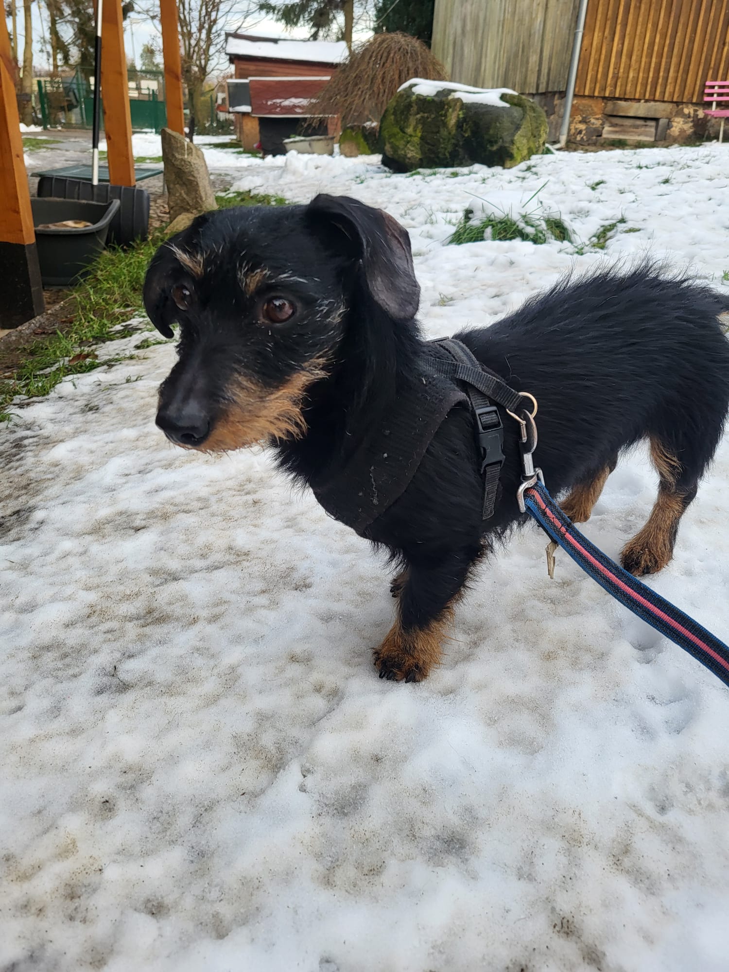 WhatsApp Image 2025-12-01 at 19.57.37(1) Rolfi