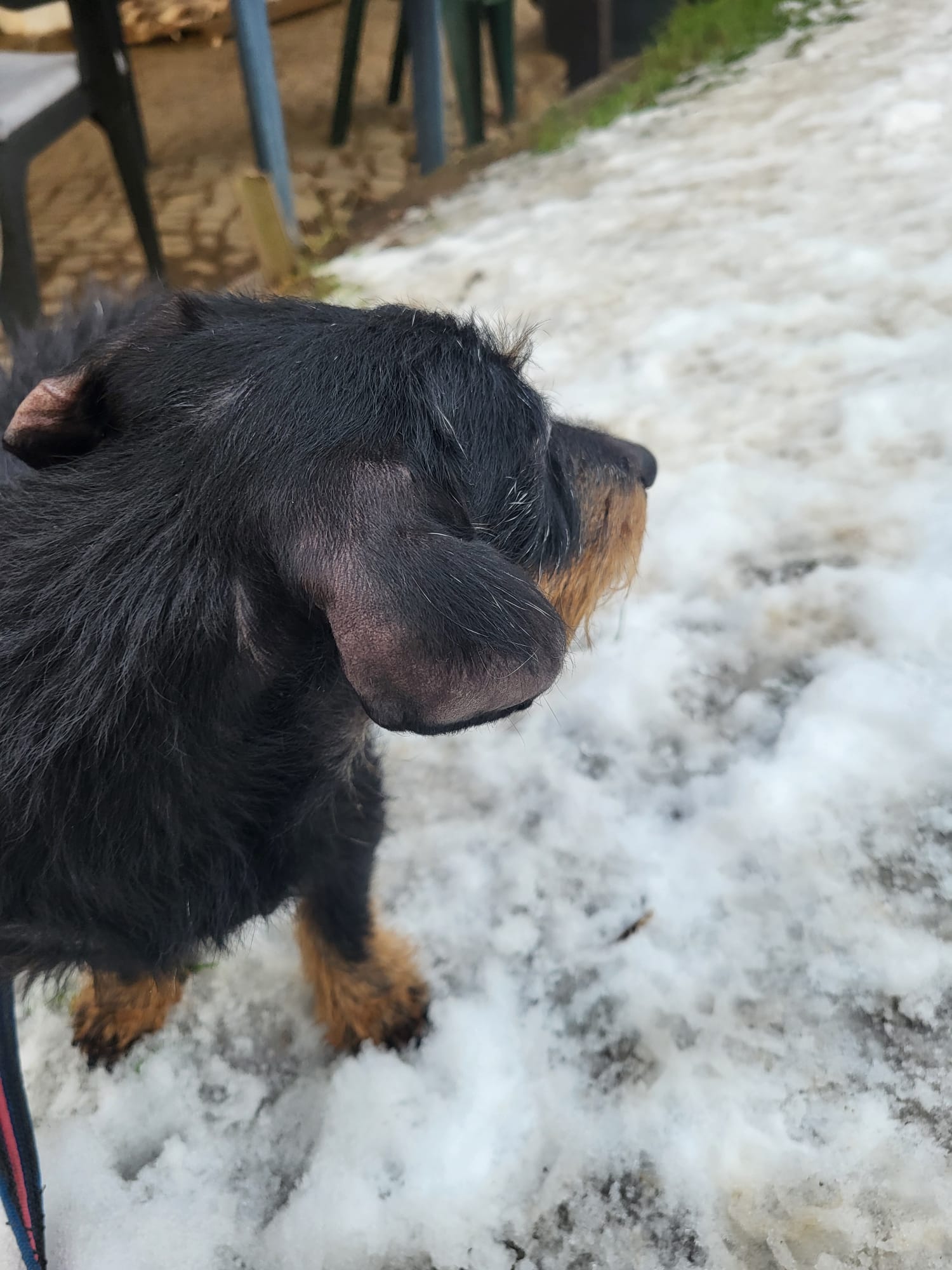 WhatsApp Image 2025-12-01 at 19.57.38(1) Rolfi