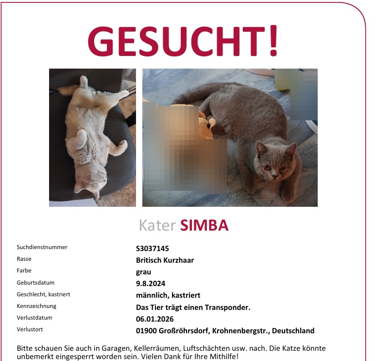 BKH Simba vermisst