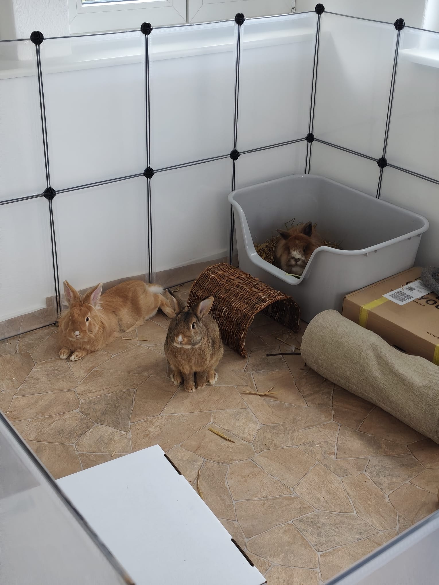 Vermittelt Toffi und Flash