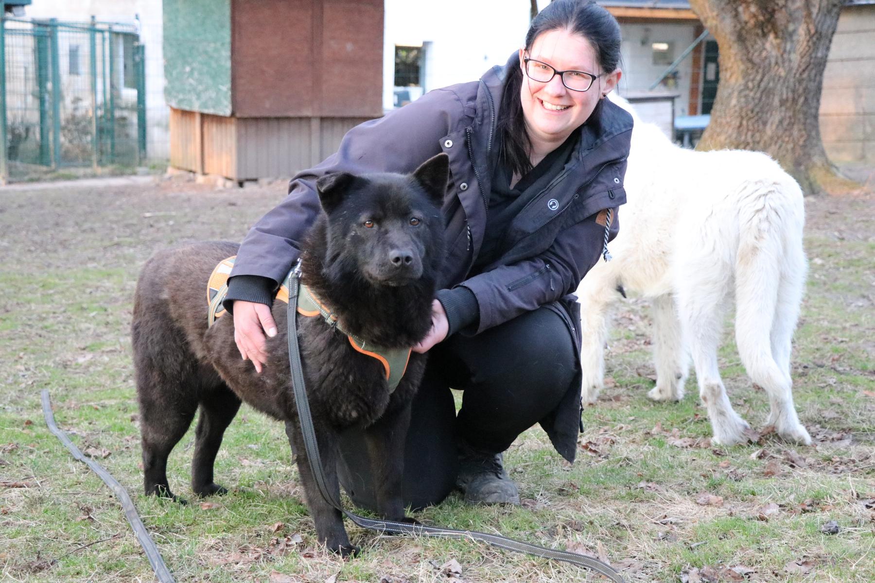 Hund Henriette Zuhause gesucht Tierheim Hoffnung für Tiere
