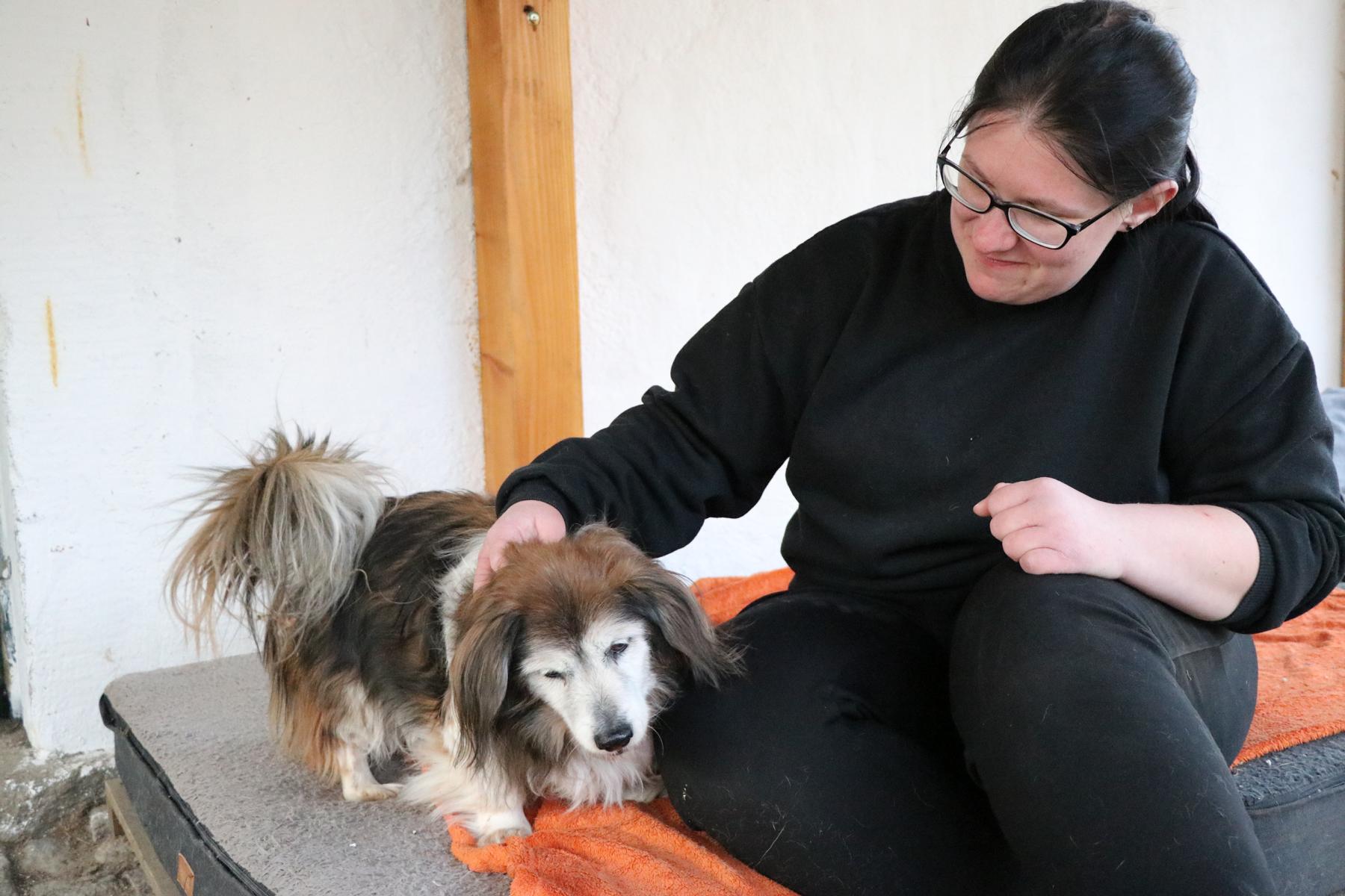 Hund Mikita Zuhause gesucht Tierheim Hoffnung für Tiere