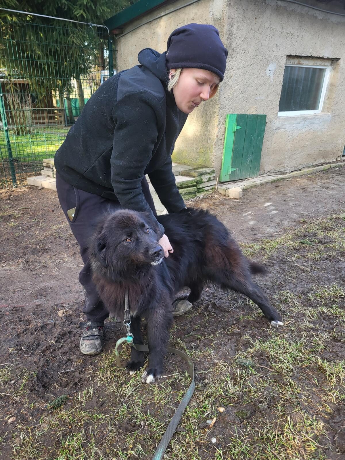 Hund Tilly Zuhause gesucht Tierheim Hoffnung für Tiere