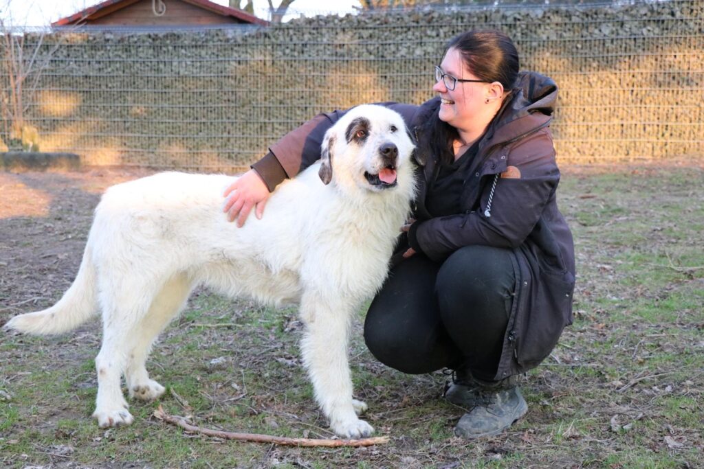 Hund Ulla Zuhause gesucht Tierheim Hoffnung für Tiere