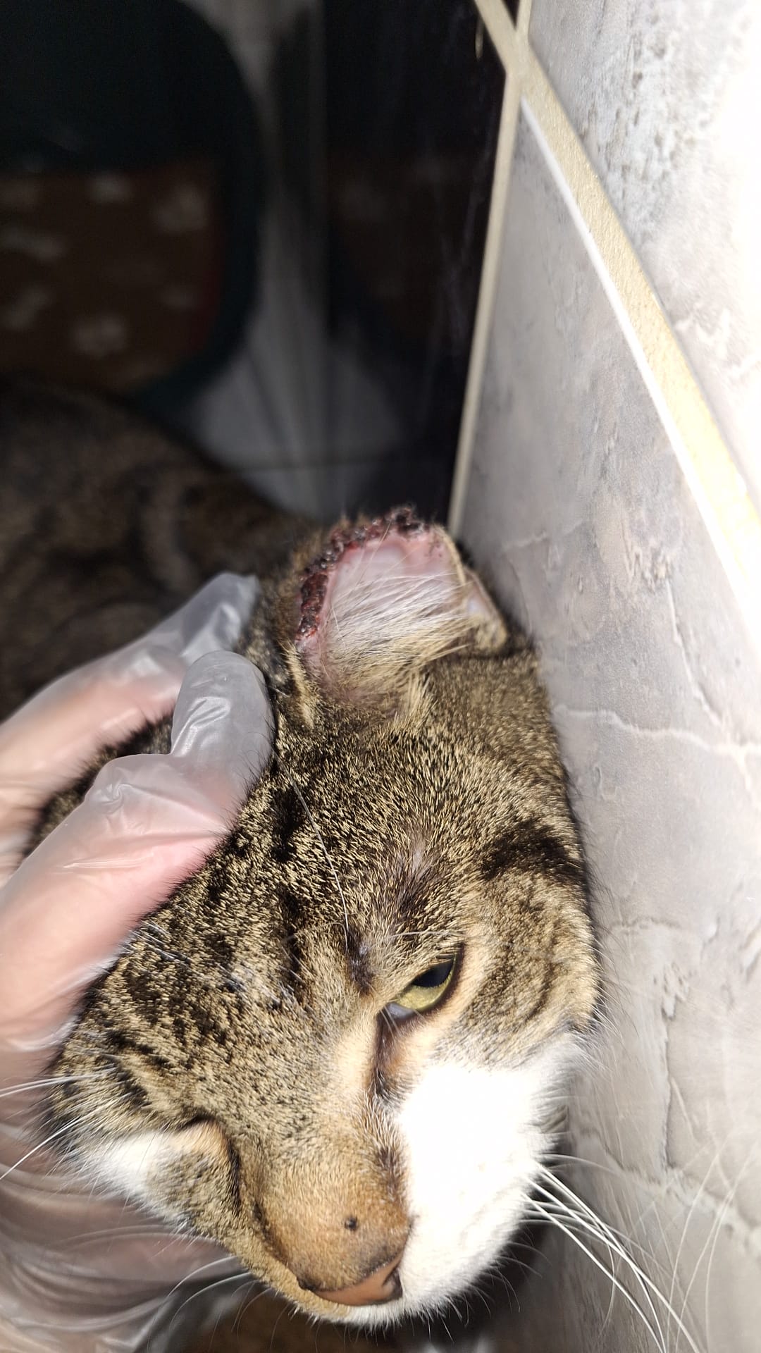 WhatsApp Image 2026-03-02 at 13.28.48