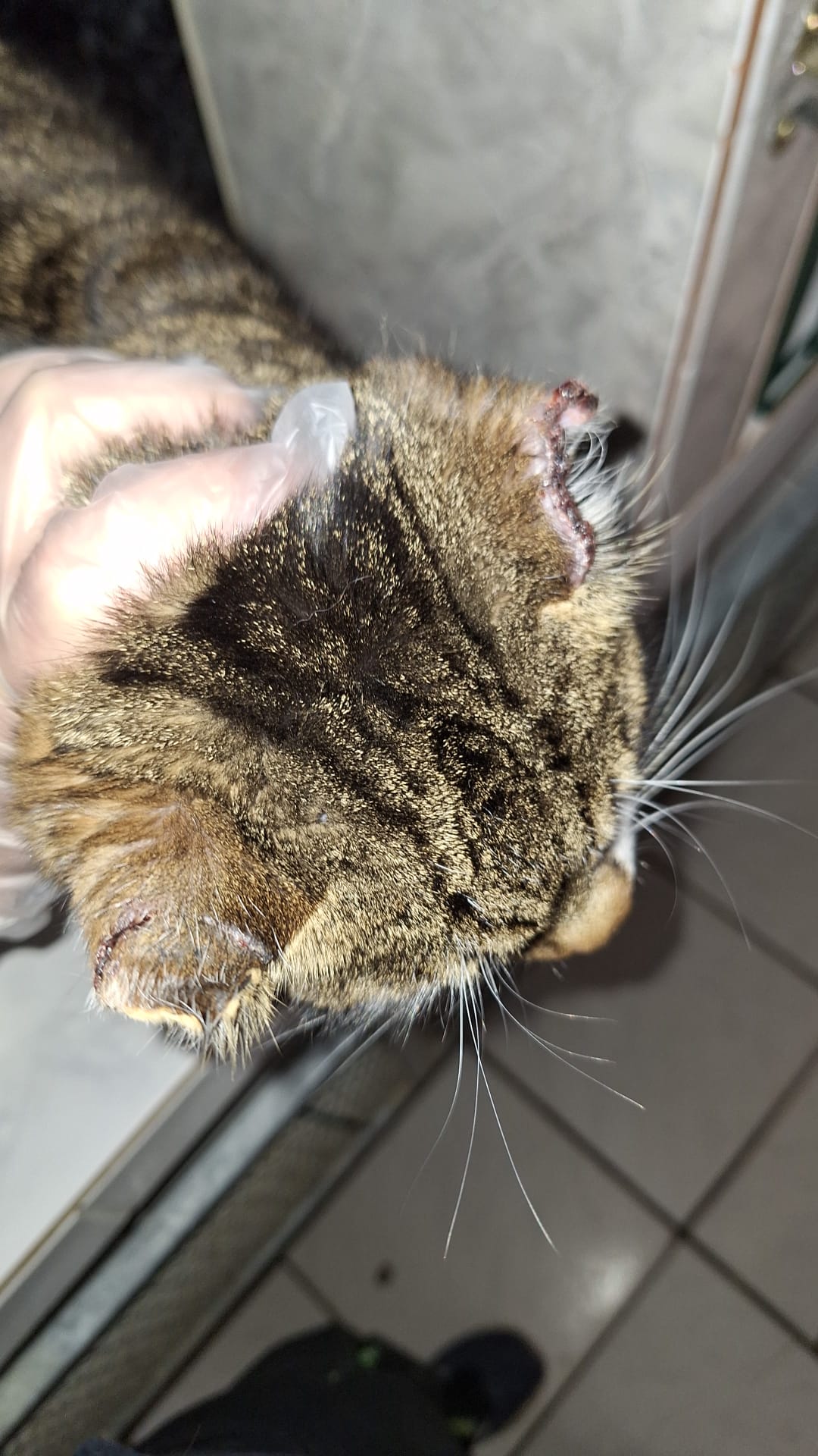 WhatsApp Image 2026-03-02 at 13.28.48(2)