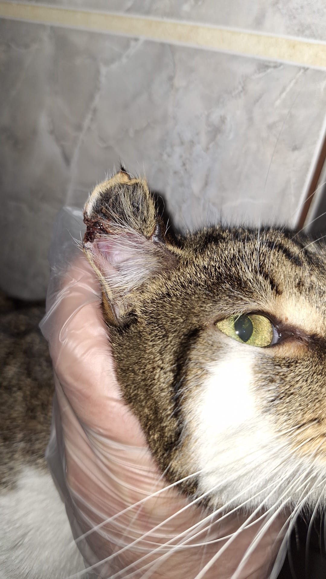 WhatsApp Image 2026-03-02 at 13.28.48(3)