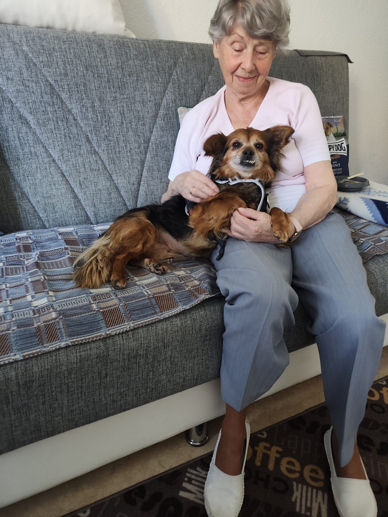 Fifi im neuen Zuhause