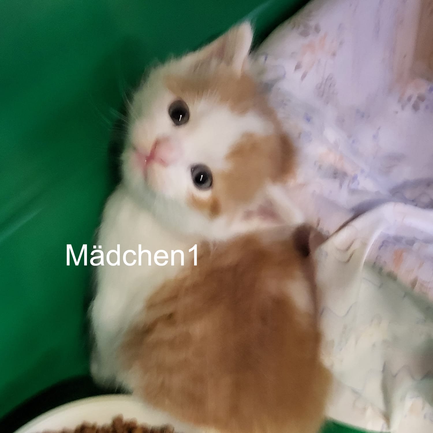 Mädchen1