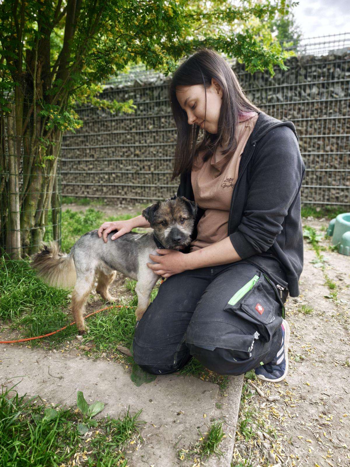 Hund Elmo Zuhause gesucht Tierheim Hoffnung für Tiere