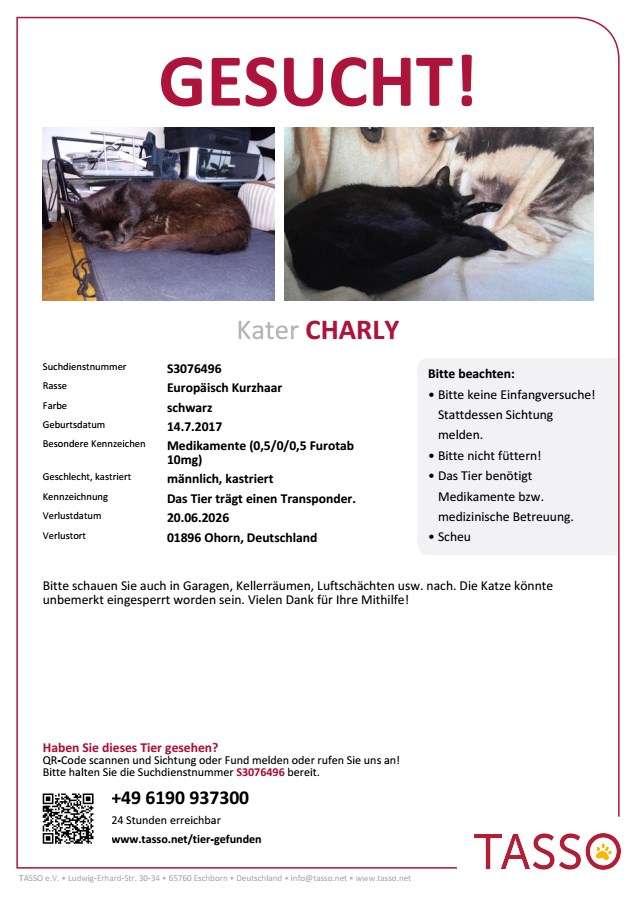 Charly vermisst
