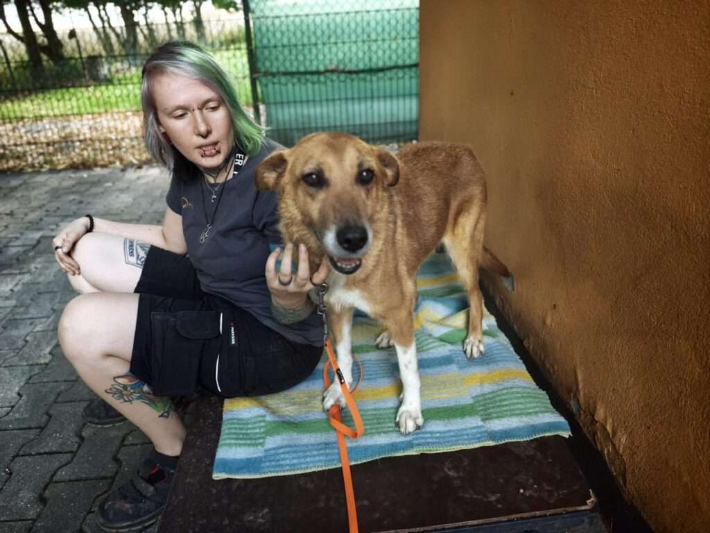 Jaklin_99_26 (17) Hund Jaklin Zuhause gesucht Tierheim Hoffnung für Tiere Tierhoffnung